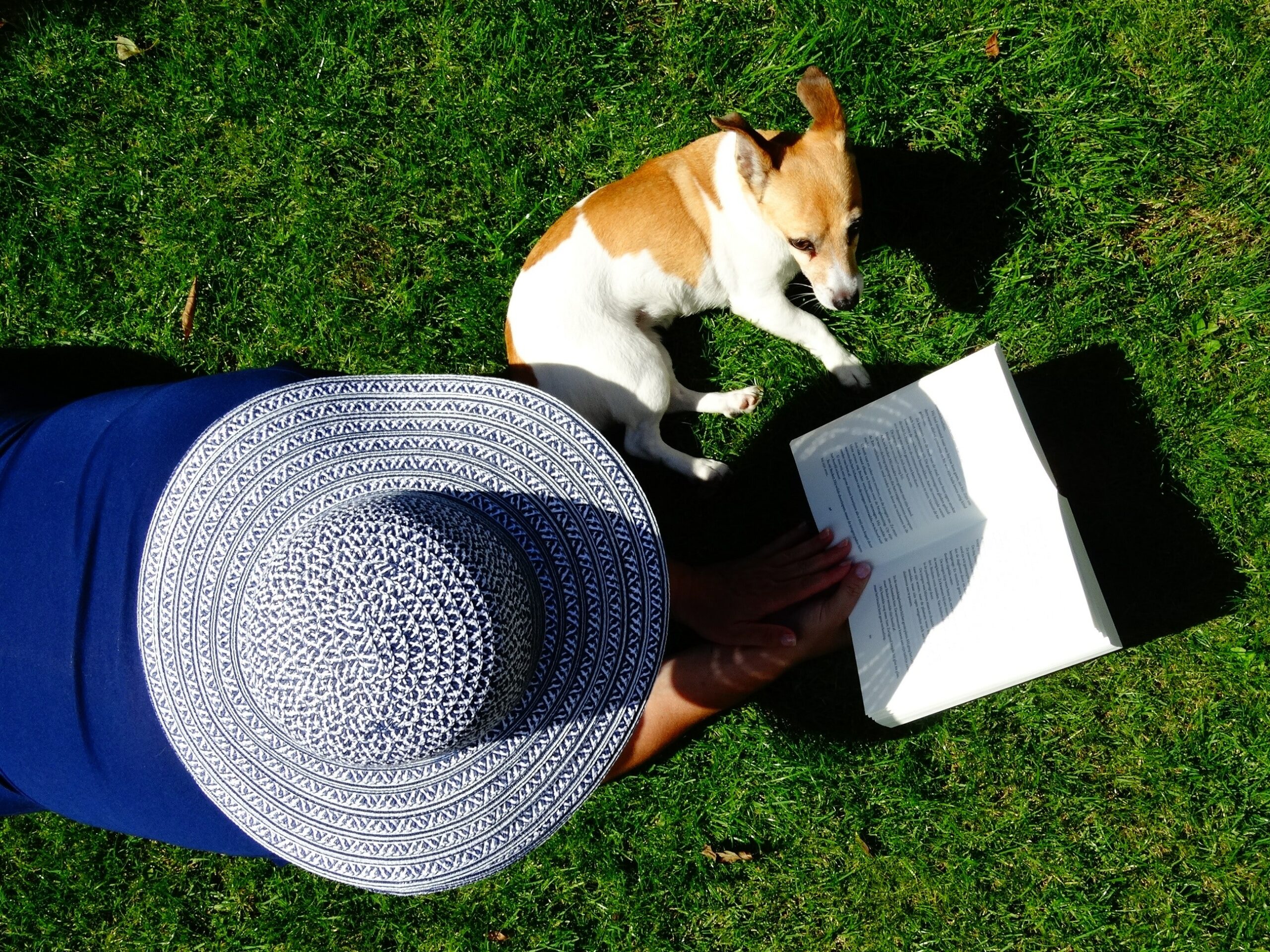 reading in the sun with a dog and sunhat