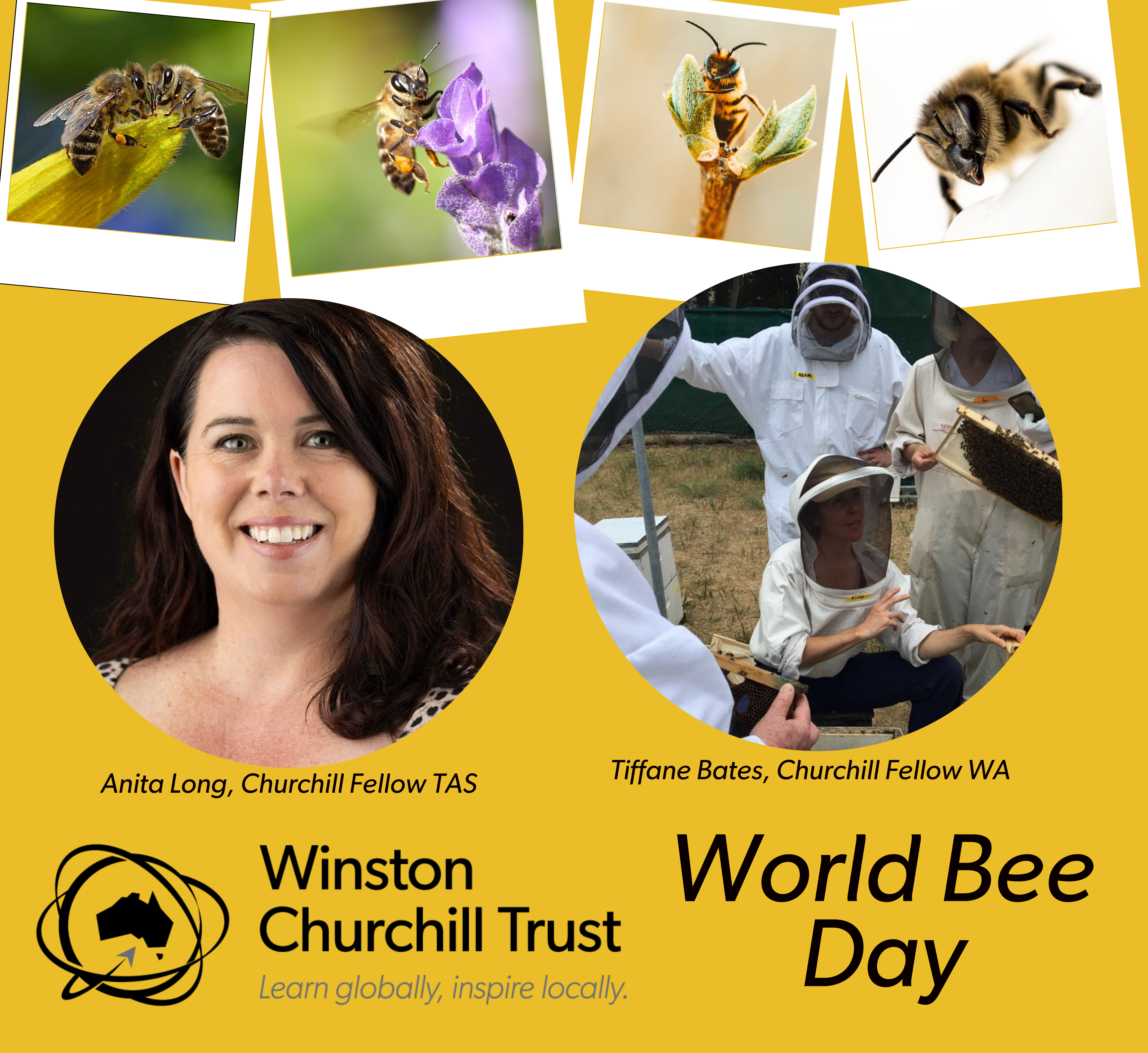 Give the bees a knees up! World Bee Day