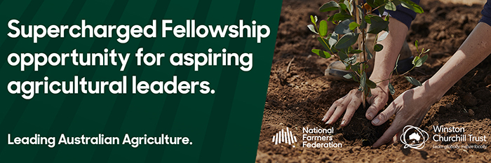 Supercharged Fellowship opportunity for aspiring agricultural leaders featured image