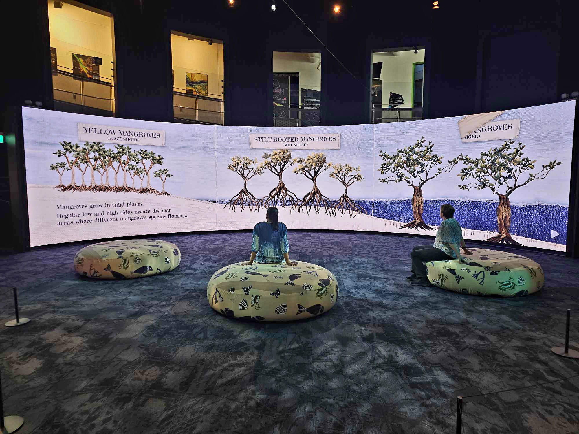 Tales from the Tide exhibition featured image