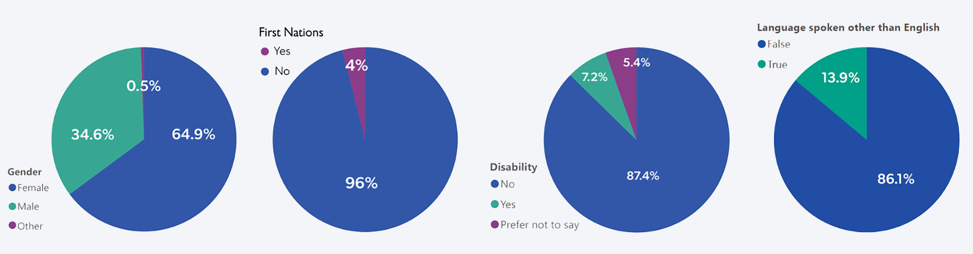 2025 Application Demogrpahics
