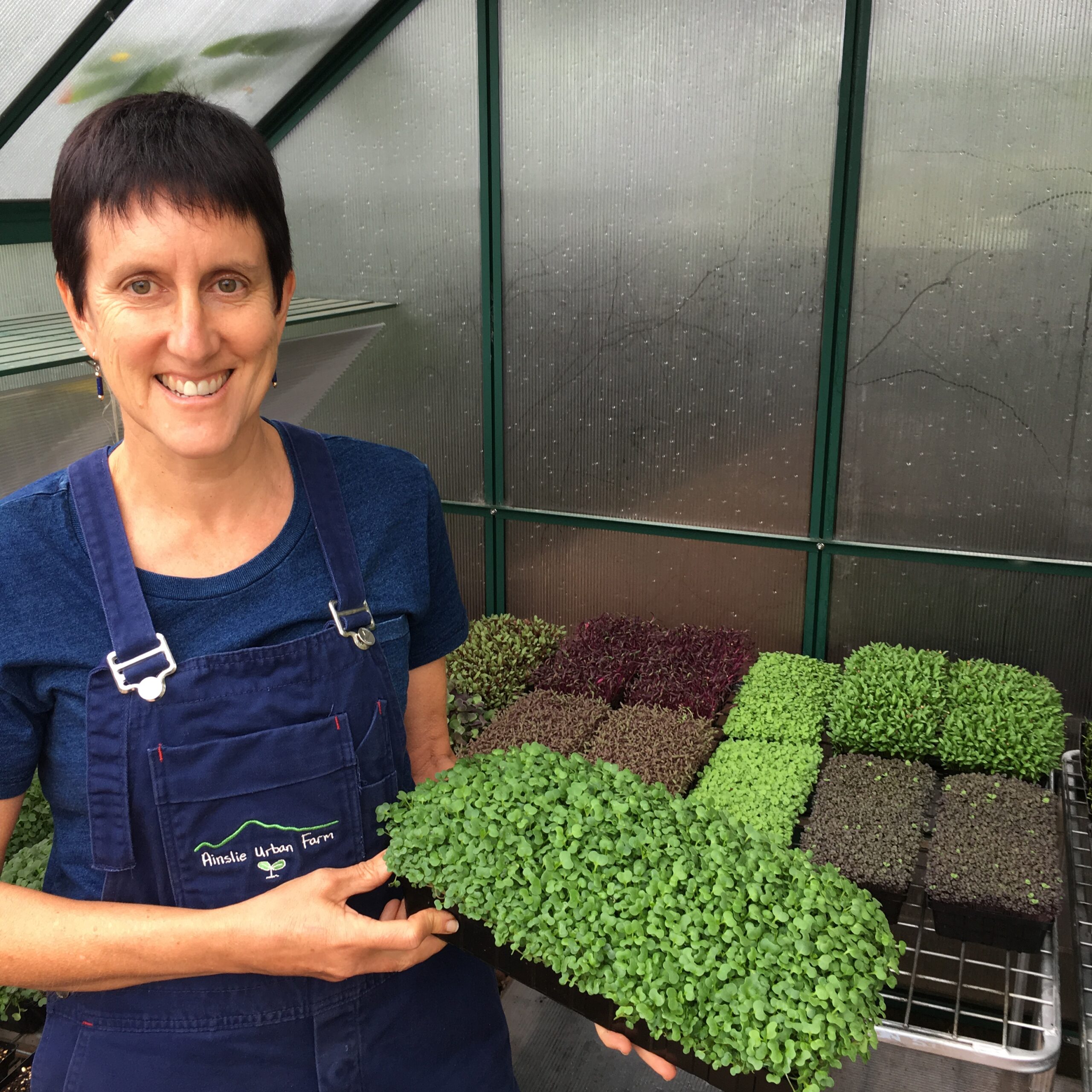 Fiona Buining: Growing Jobs and Community Through Urban Farming